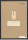 Plagiogramma lyratum Grev. (de-Toni-Nr.: Genus 83, Species 2925) Zeichnungen Sammlung Grunow Nr. 5917 (NHMW-BOT-W0374378)